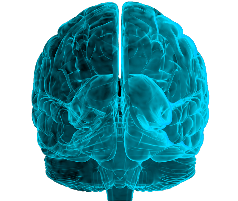 Concusión ó Conmoción Cerebral